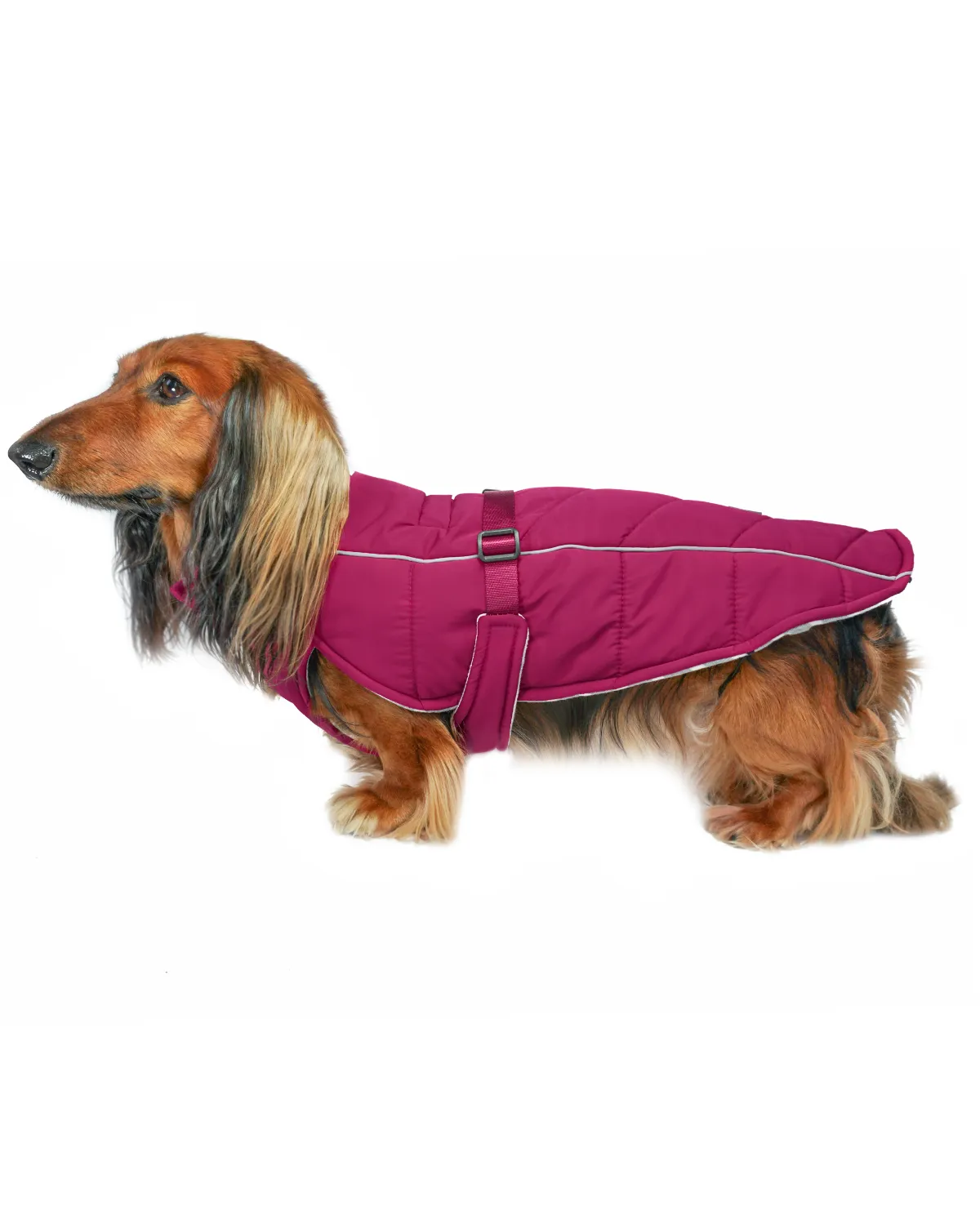 Whistler Winter Dog Coat - Hibiscus Pink